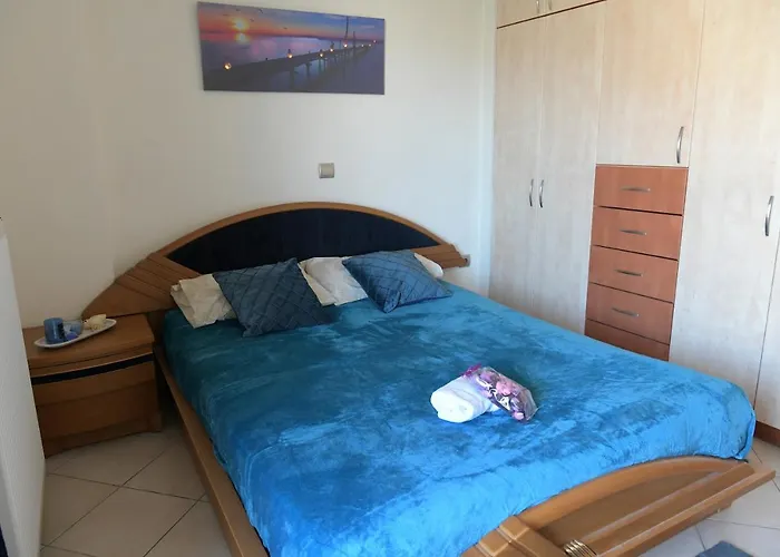 View ルートラキ